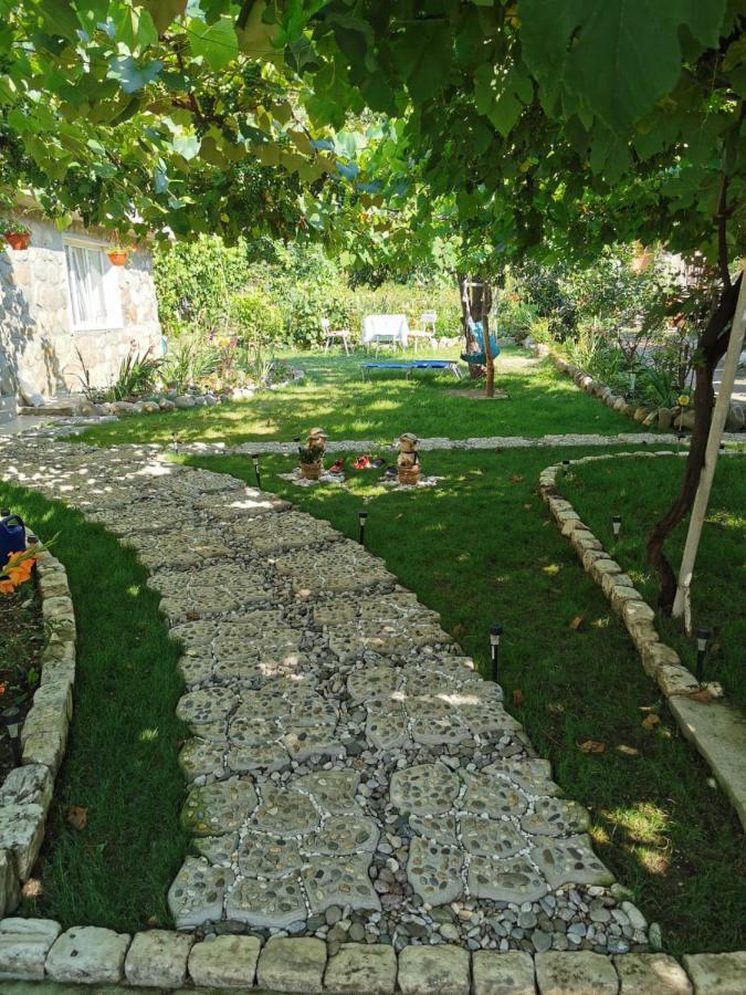 Отель Summer Garden Бэиле-Еркулане Экстерьер фото