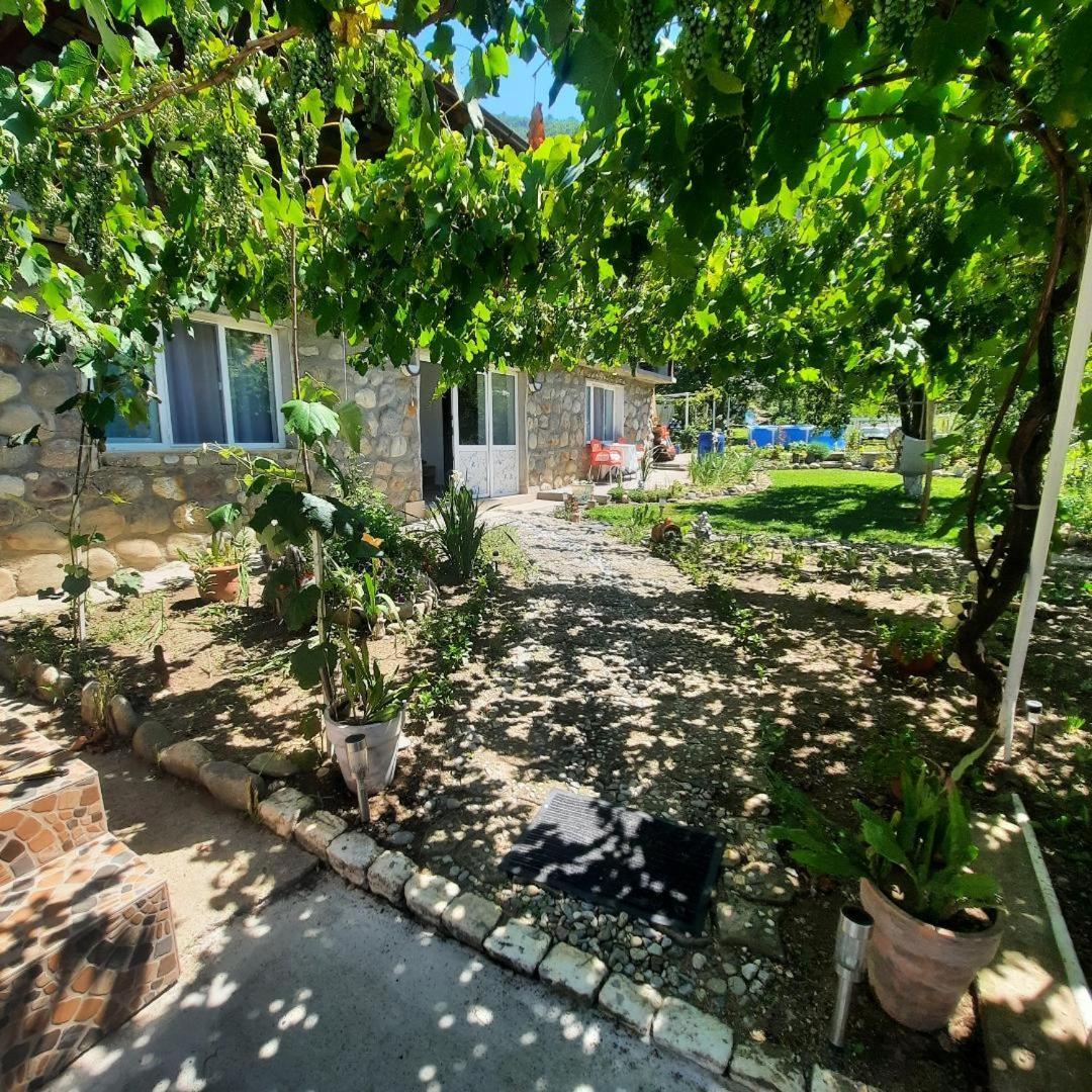 Отель Summer Garden Бэиле-Еркулане Экстерьер фото